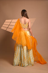 ghagra choli for women