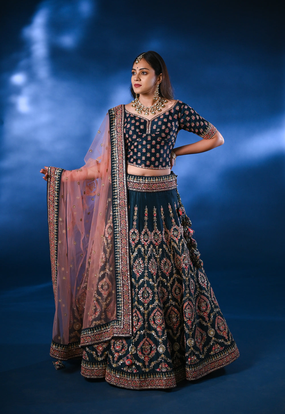 Lehenga Motiwork Sequence jardoshi kattdana Threadwork